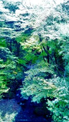 ４６　破綻論理