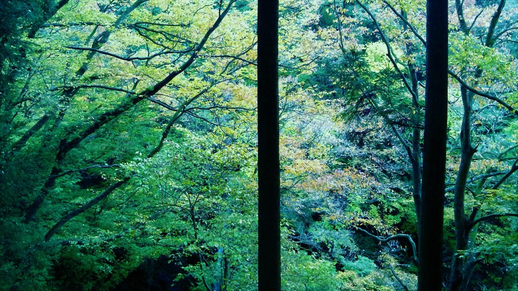 ５３　葬式幻想郷