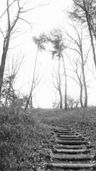 149　read to cryptic note
