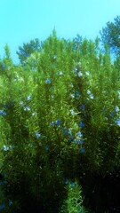 108　境界線輪唱の誓い
