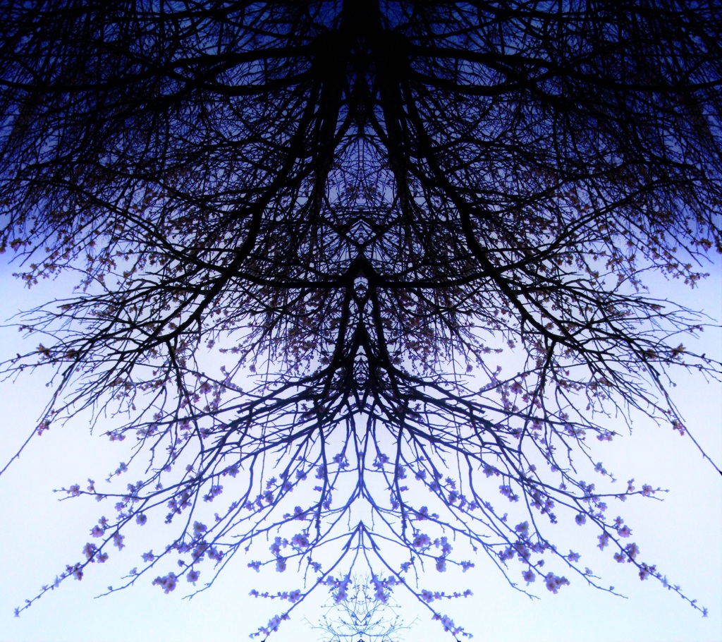 19　reflection