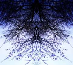 19　reflection