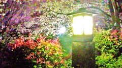 60　言葉の上の世界
