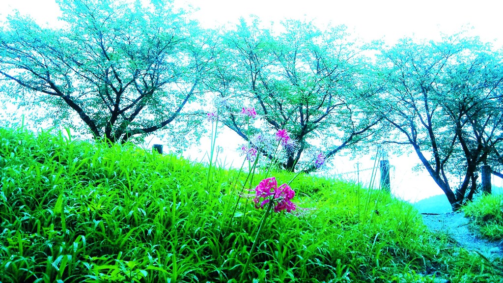 ３７『：華の誘いは星の輝きをも殺す』