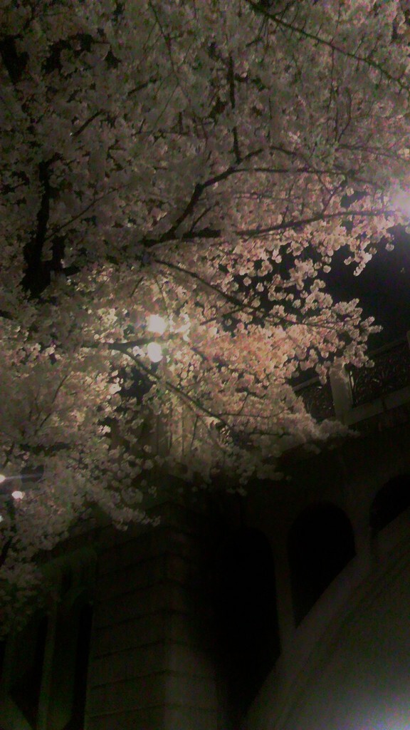 42　雨の夜の木漏れ日――を