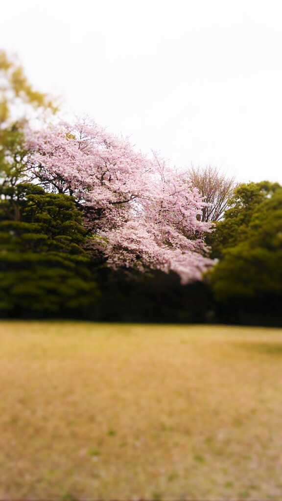 75　方程式と虹のない空