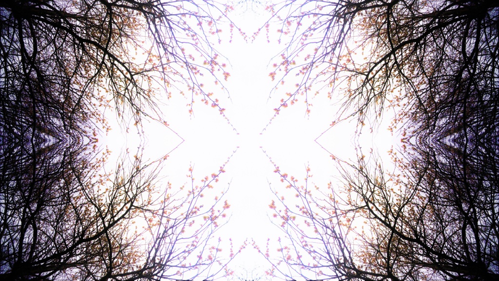 7　reflection3