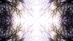 7　reflection3