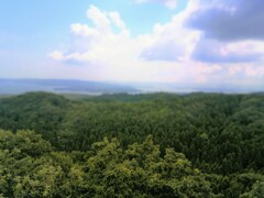 74　樹兵隊に下された命令〝進軍〟