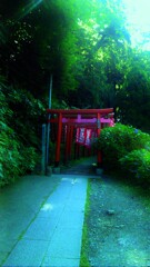 119　神秘の入り口