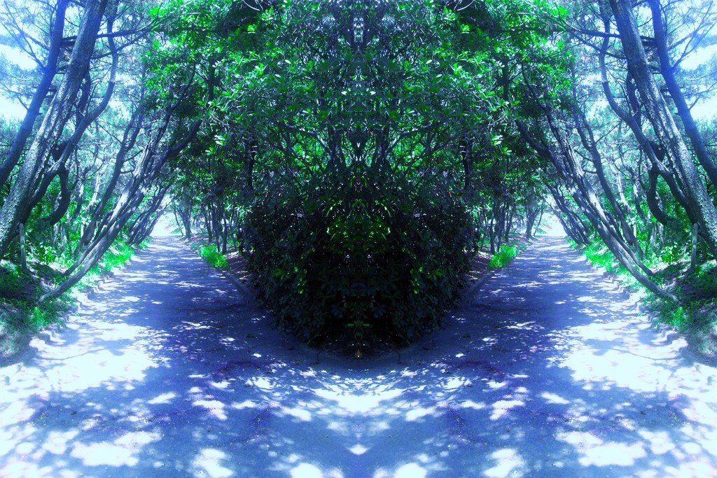 8　END; insomnia effect