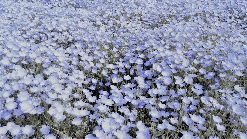 176　雪の記憶