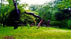 ６０『：古ぼけた門番の目次録』