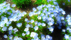 116　萌芽の高鳴り