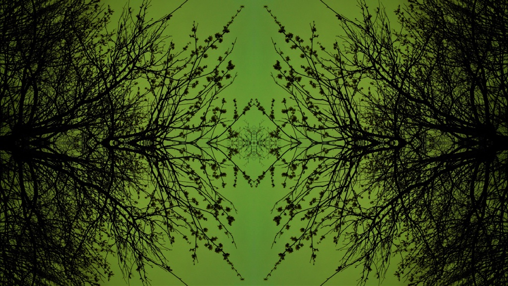 39　reflection4