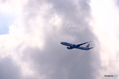 DSCF0615