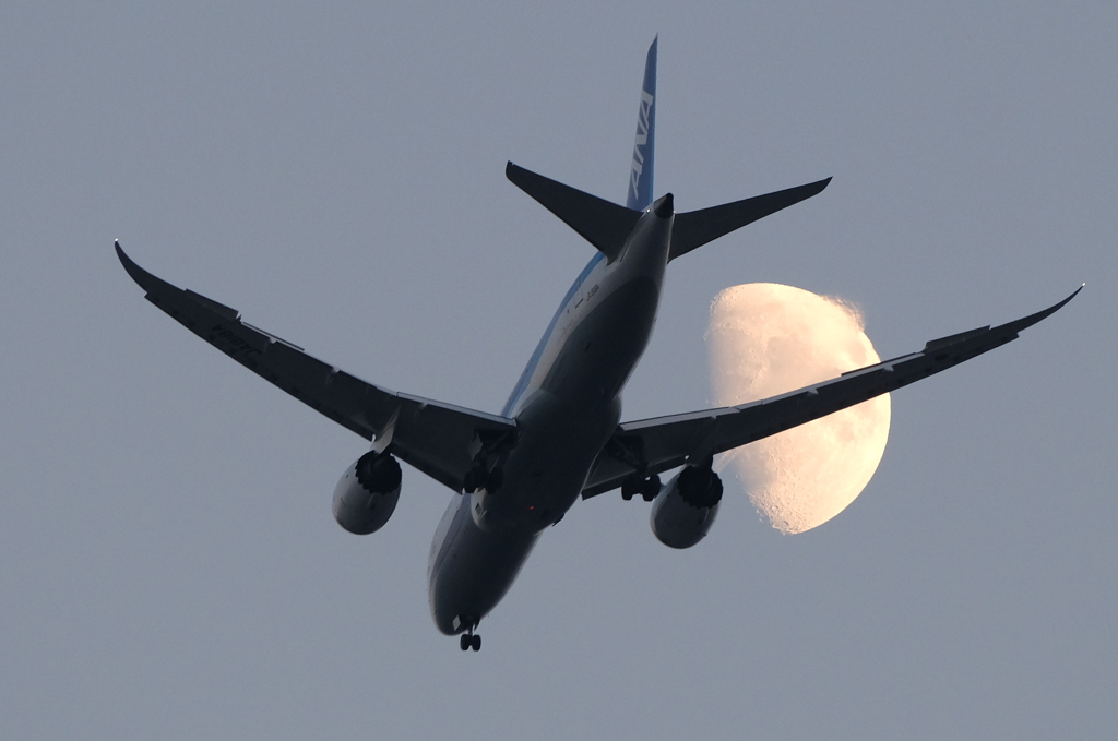 飛行機と月