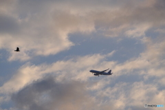 DSCF0406