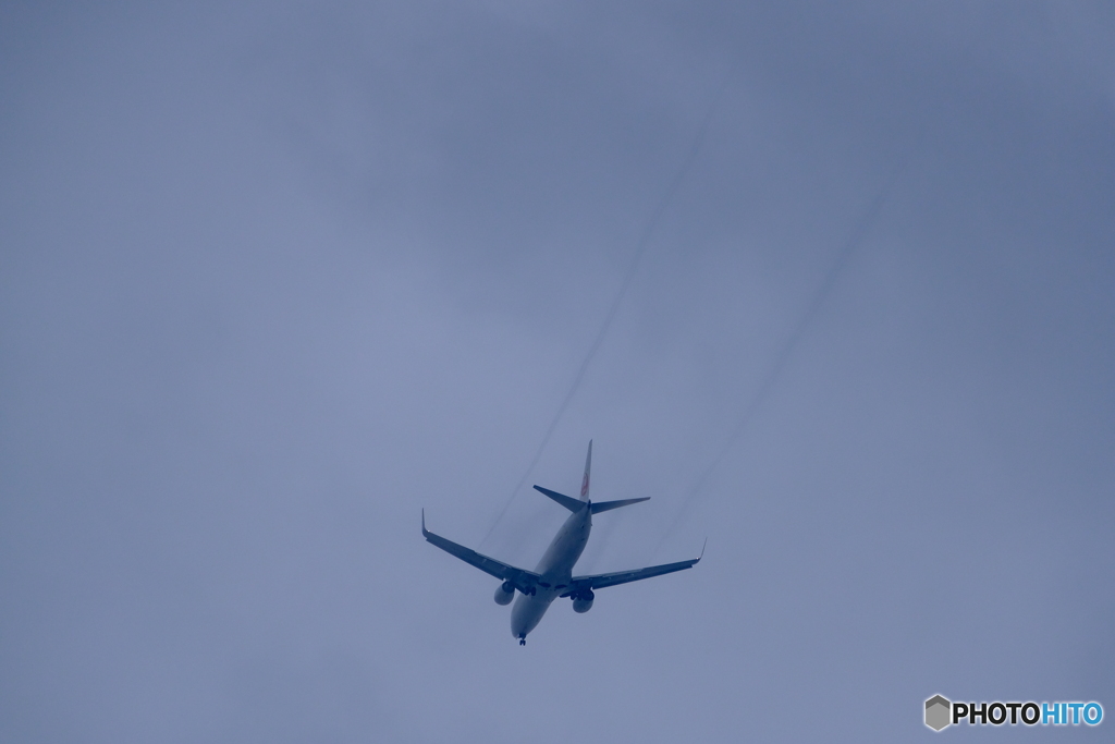 DSCF1387