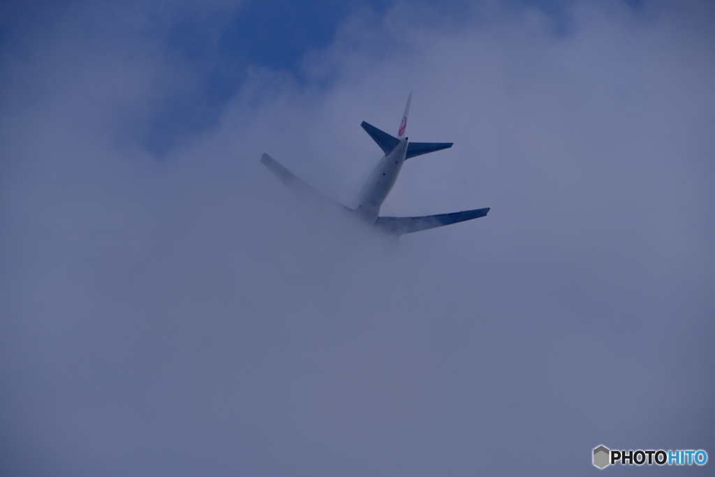 DSCF7994