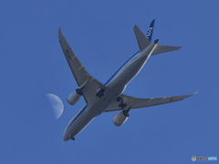 DSCF8301