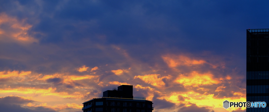 DSCF6686