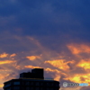DSCF6686
