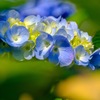 DSCF5053
