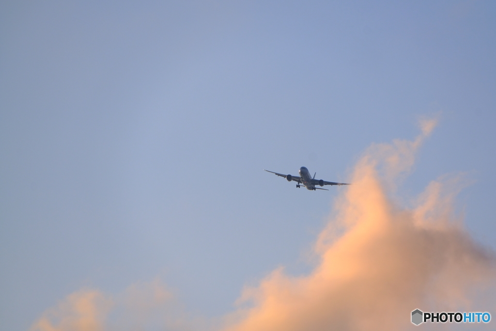 DSCF0290
