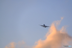 DSCF0290