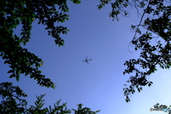 DSCF3682