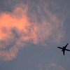 夕焼け雲と飛行機