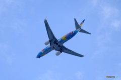 DSCF0495