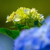 DSCF5048