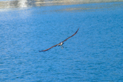 DSCF9504