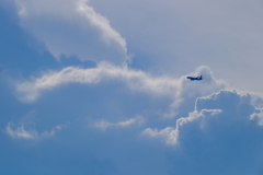 DSCF8966