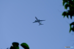 DSCF9904