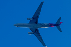 DSCF2597