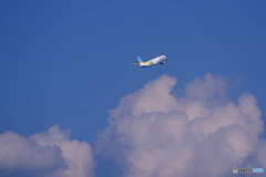 DSCF9183