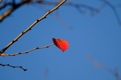 DSCF2103