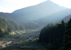 朝の棚田