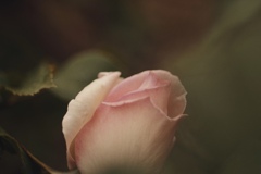 8585A422-94F1-4C07-88B3-C6E3F92DBAF1