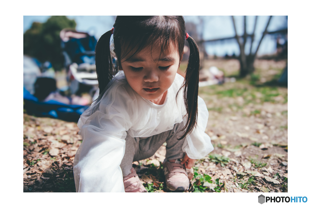 公園日和