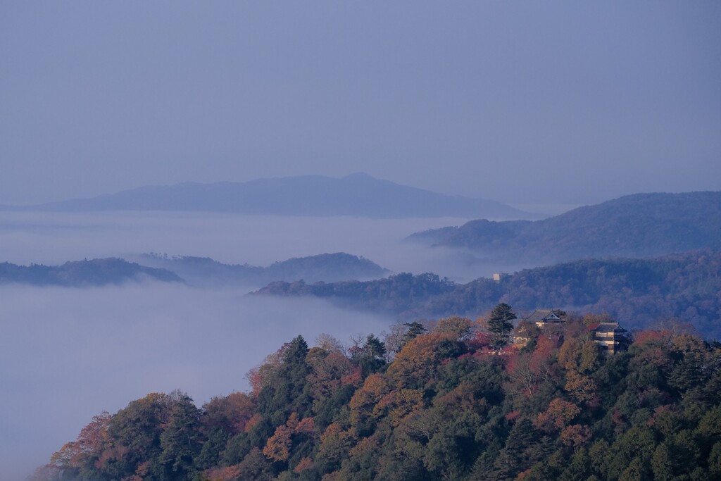 備中松山城 雲海1