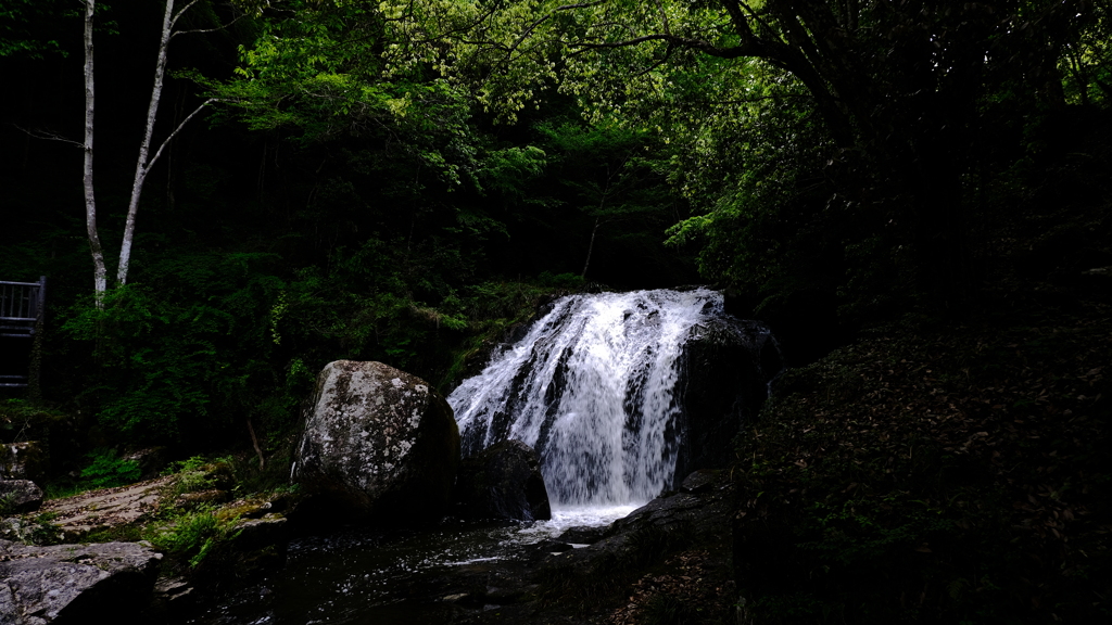 鳴滝森林公園の滝①