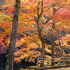 豪渓 紅葉 4