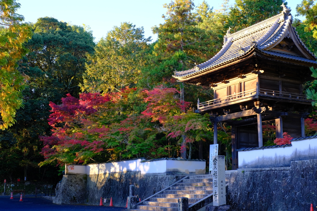 宝福寺 紅葉  1