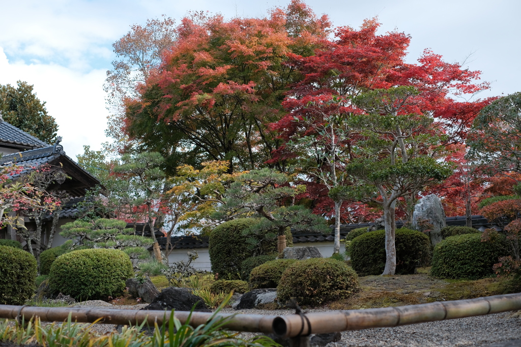 花の山寺 「普門寺」 紅葉 4