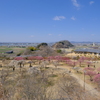 神崎梅園1