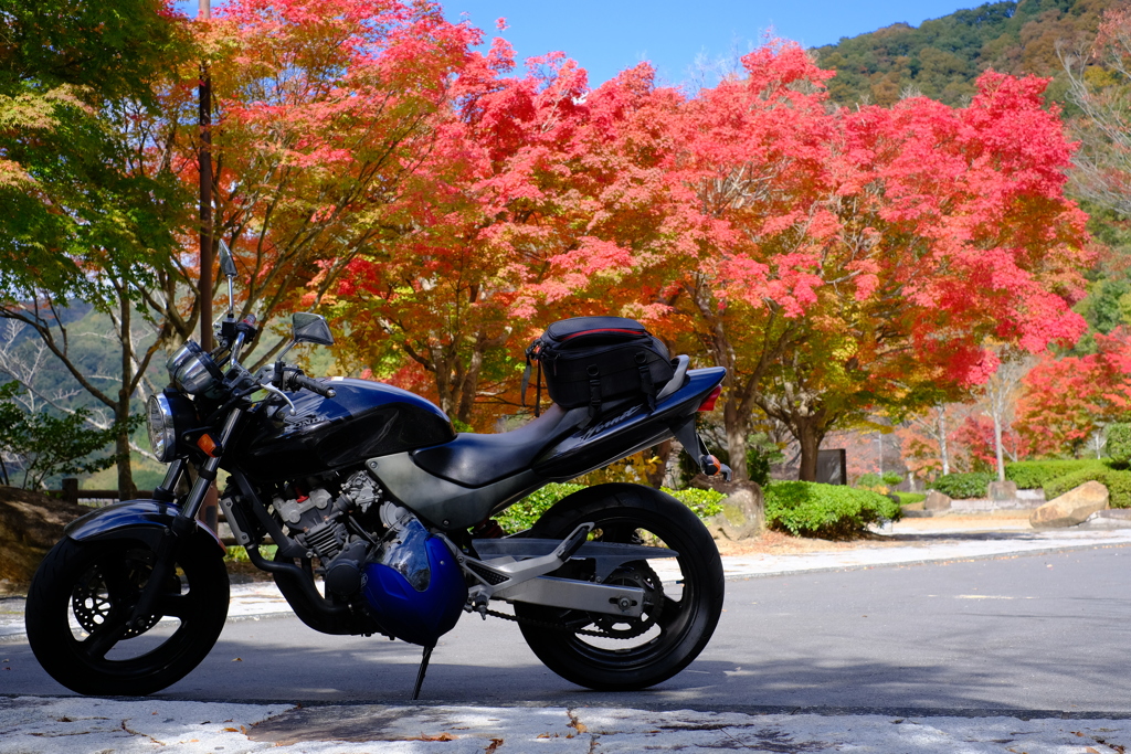 岡山市北区足守 黒谷ダム 紅葉 1